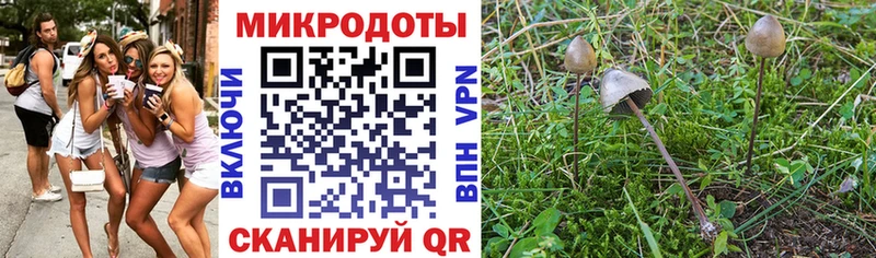 цена наркотик  Ишимбай  Галлюциногенные грибы Psilocybe 